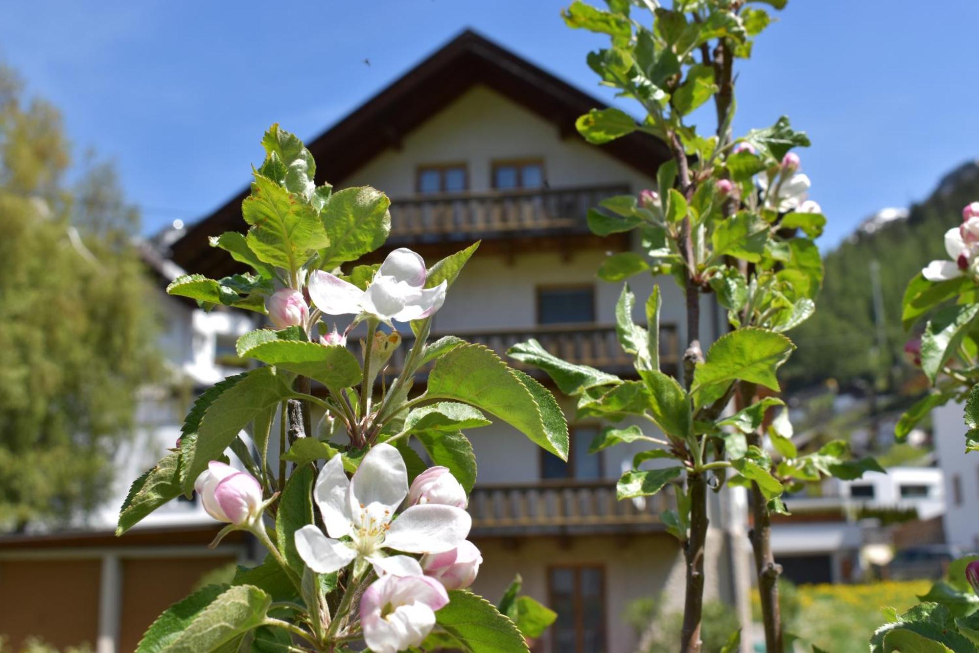 Hirschstube Nauders住宿加早餐旅馆 外观 照片
