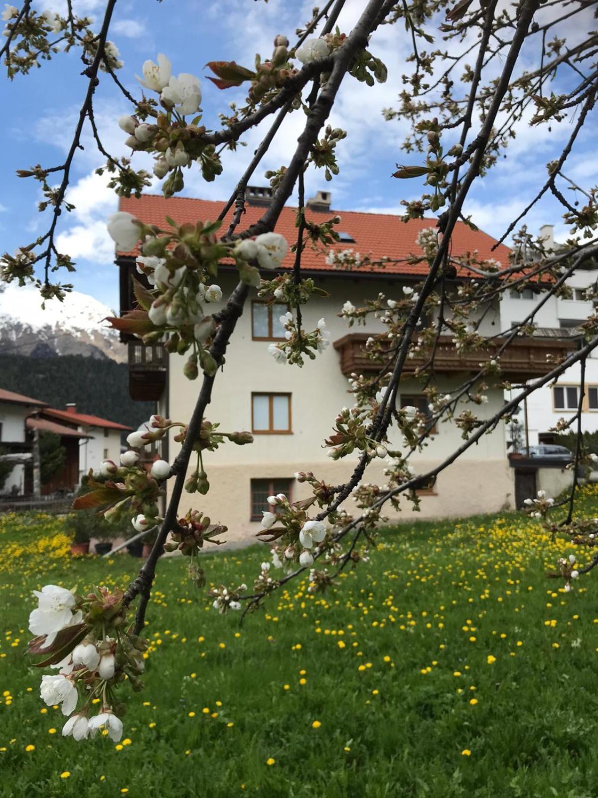 Hirschstube Nauders住宿加早餐旅馆 外观 照片